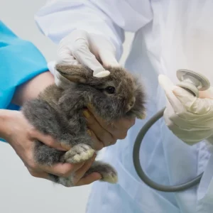 Core Module - 11th September 2025